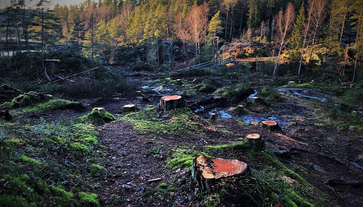 Anleggsbeltet på 9,5 kilometer har satt sine spor i terrenget, men MOVAR lover å gjøre sitt beste for at ulempene for turfolket i Mossemarka skal bli minst mulig. Foto: Odd Borgestrand